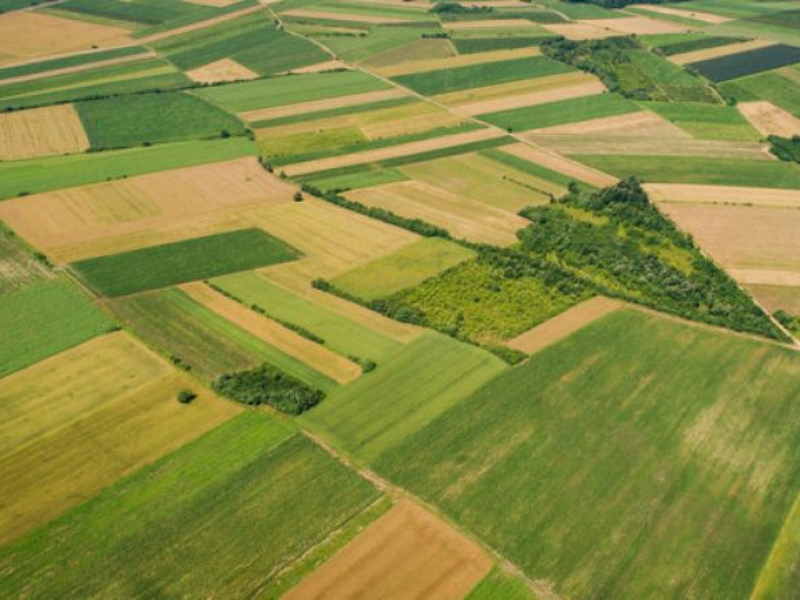 O agro brasileiro está mudando de mãos? Entenda quem está por trás dessa transformação