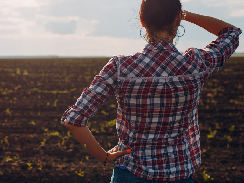 Como Corretores de Seguro Agrícola Podem Aumentar a Eficiência e Fortalecer Parcerias no Campo