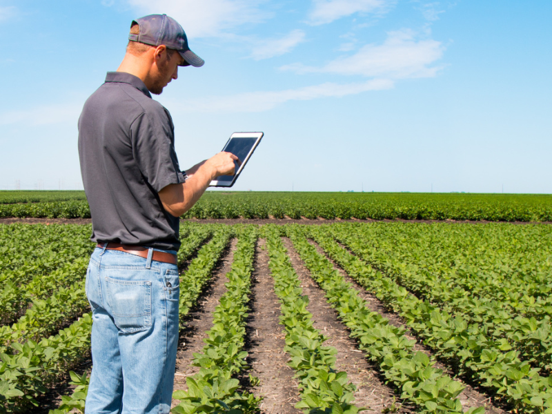 Unidades de medida no agronegócio: como evitar erros de cálculo na contratação do seguro agrícola