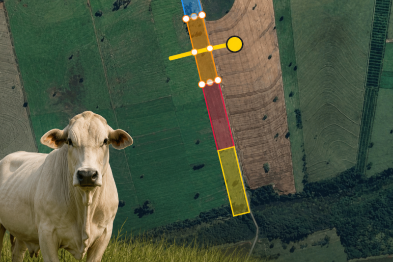 Divisor de piquetes para gado