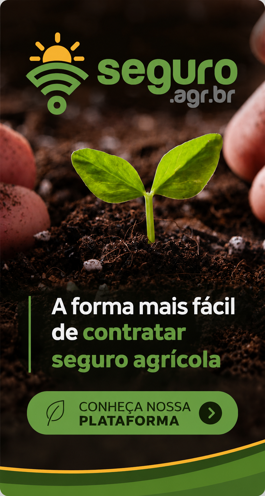 Seguro Agrícola